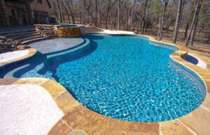 free-form-inground-pools-750