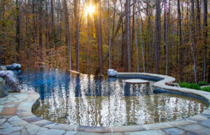 infinity-inground-pools-543-A
