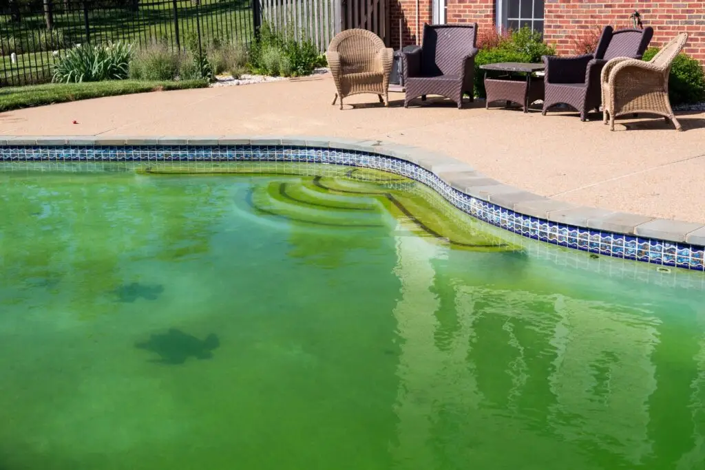 Inground swimming pool with green pool algae covering the steps and water