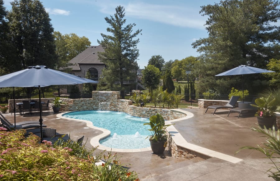 Freeform swimming pool with raised ledge, sheer descents and sun shelf