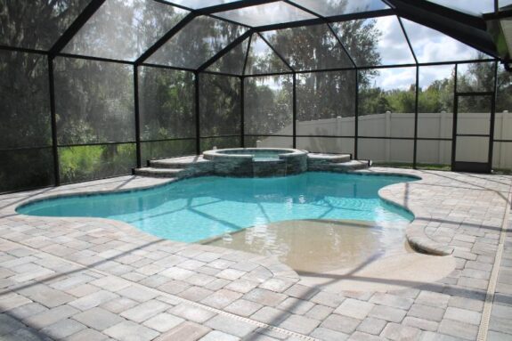 Freeform pool with raised circular spa design in Tampa