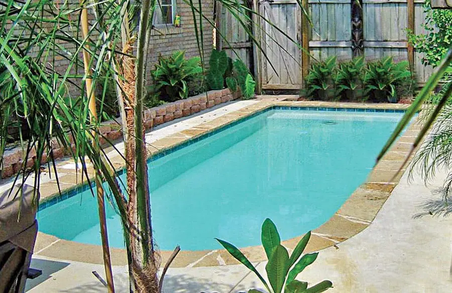Custom swimming pool feature showcase in Sarasota