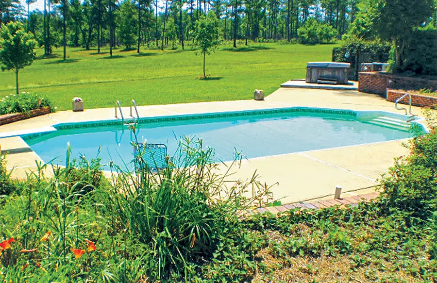 Custom designed pool project in Opelika